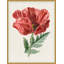 Ruby Floral 1 Print