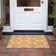  Chayden Area Rug with Non-Slip Backing