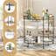Mirror Shelf Metal Bar Cart-1626888497