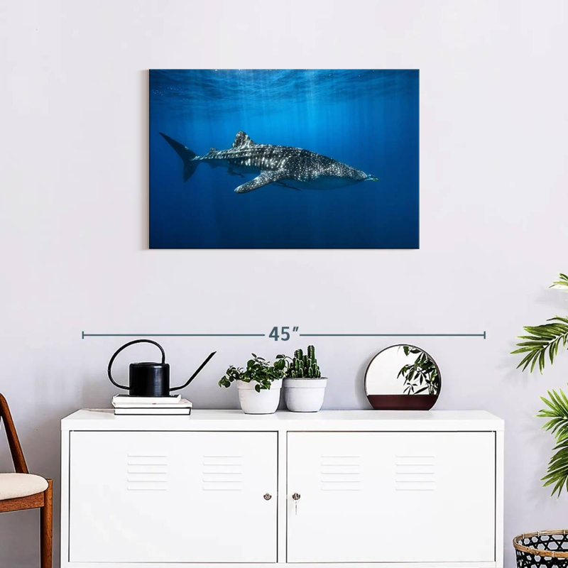 Brampt Whale Shark In The Blue, 20" H x 30" W