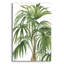  «Riviera Palms 2 C» par Wild Apple Portfolio, art mural en verre, 16 po x 24 po-456081483