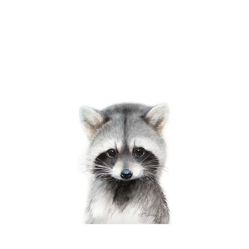 Baby Raccoon - Wrapped Canvas Painting, 20.32 cm H x 30.48 cm W