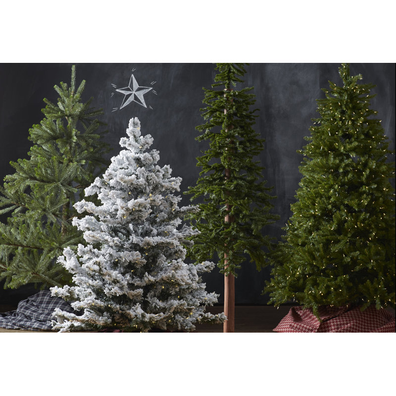 Arbre de Noël pin alpin, H 7 pi