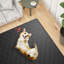 Tapis lavable pour chien, parc, lit, canapé et coffre-1492018965-1536814101