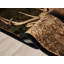  Tapis 5 pi 3 po x 7 pi 3 po Wild World