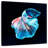 Brampt Glowing Blue Betta Fish-109369371