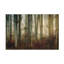 Lumière d'automne par Nel Talen-2007343635