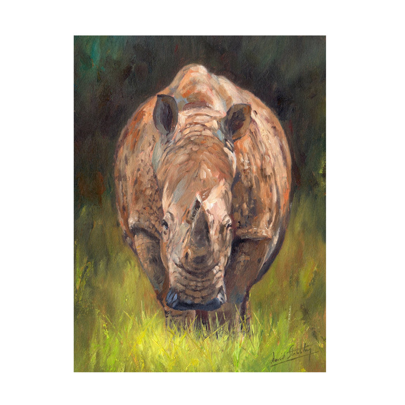 «David Stribble Rhino» sur toile tendue, H 14 po x l 19 po
