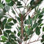 Ficus artificiel 51 po avec pot