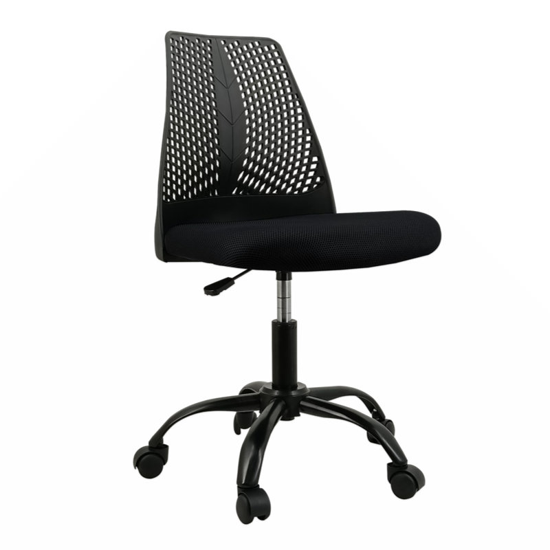 Chaise de bureau ergonomique Kavonta, Noir, Noir