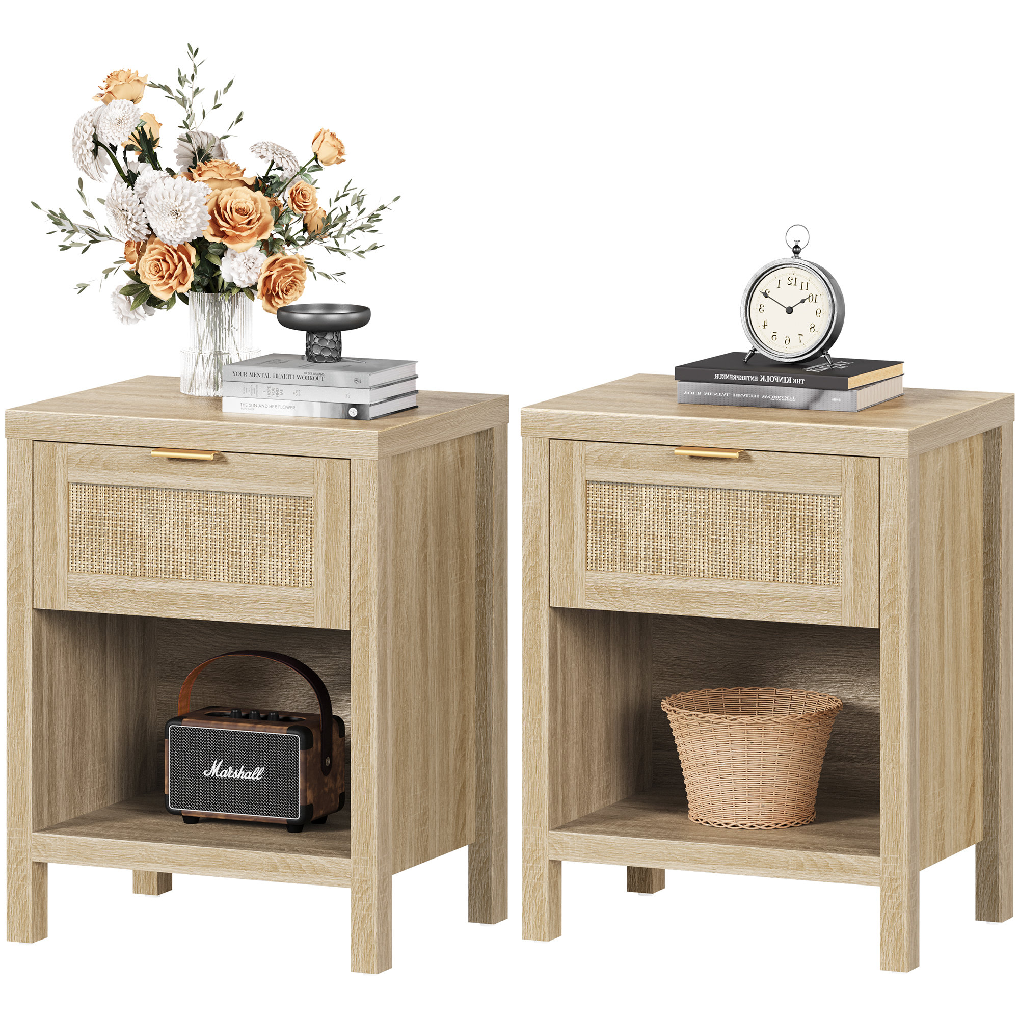 Bayou Breeze Alayha 1 - Drawer Nightstand Set of 2