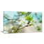 Beautiful Cherry Blossom n Spring - Reproduction de photo sur toile tendue-20879360