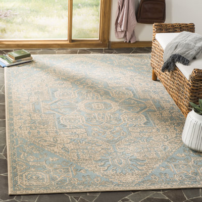 Donivin Performance Oriental Indoor/Outdoor Area Rug