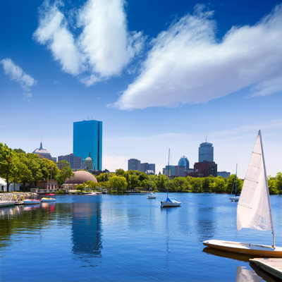 Boston Sailboats by LUNAMARINA - Wrapped Canvas Print