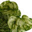 Hanging Plants 35cm Faux Foliage Plant