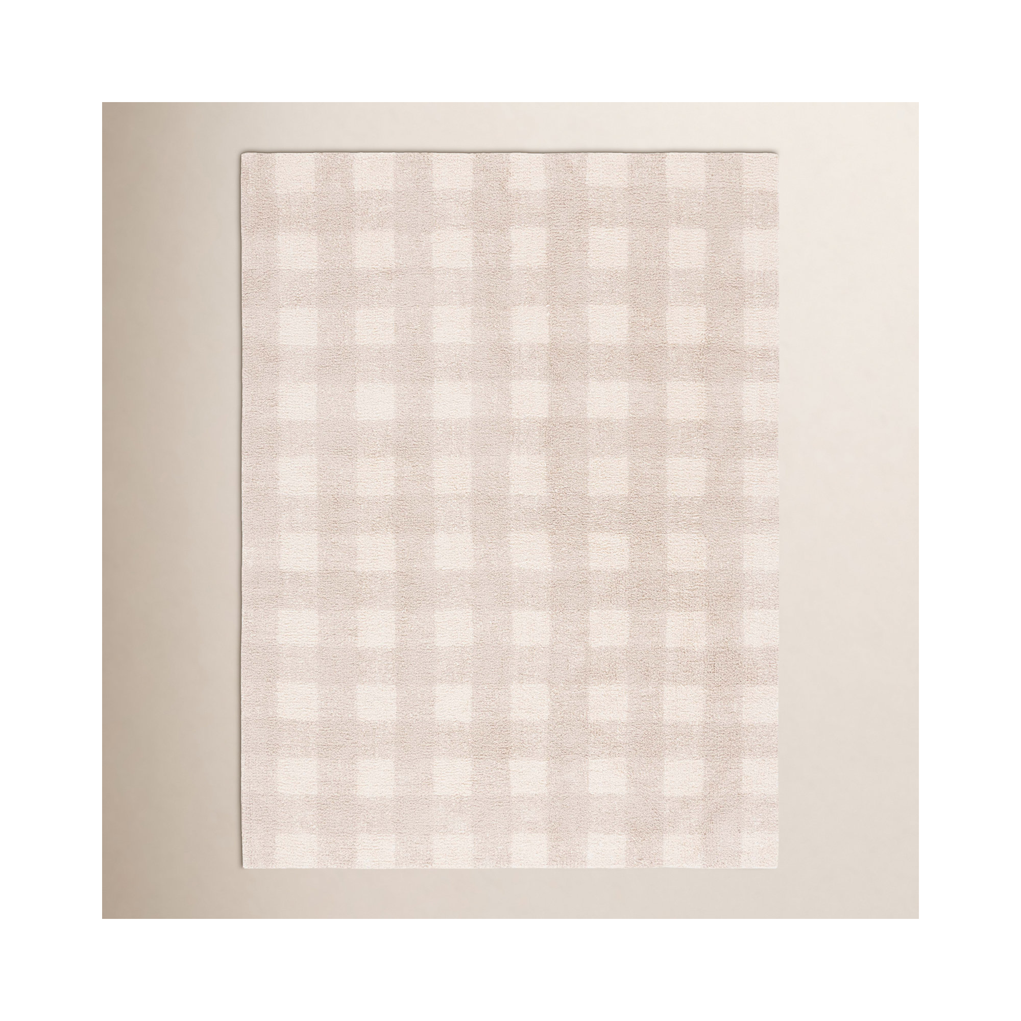 Barclay Plaid Hand Woven Flatweave Cotton Area Rug in Beige, Rectangle 3' x 5'