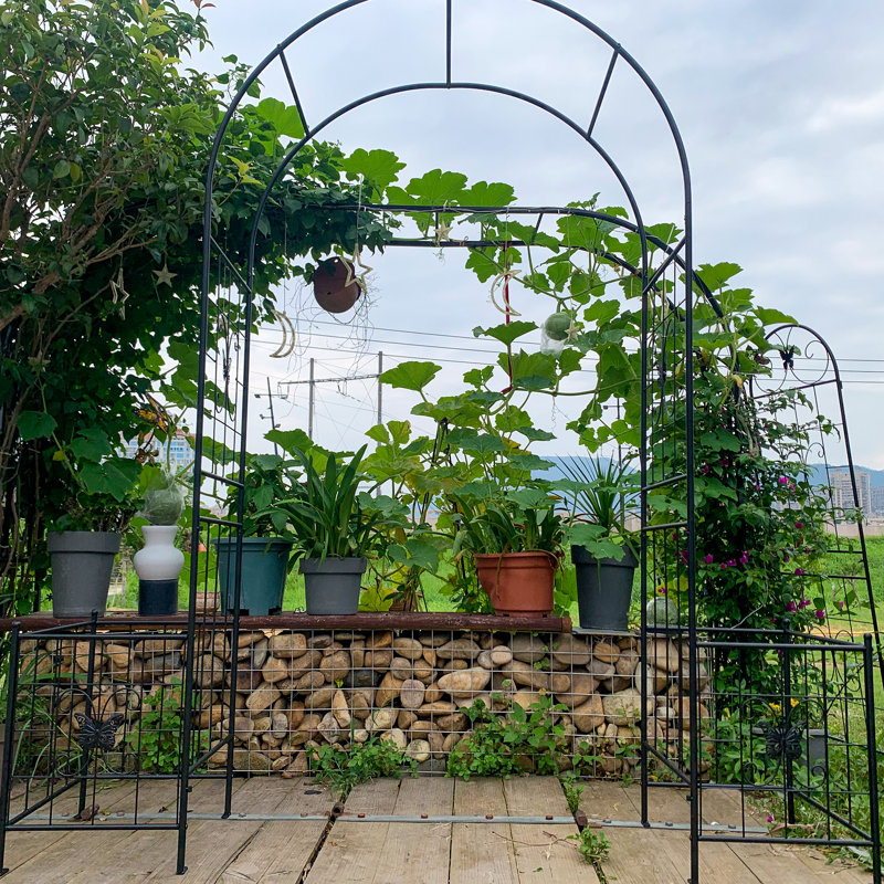 Treillis d'arche de jardin en métal durable pour plantes grimpantes et décorations de mariage en plein air, noir