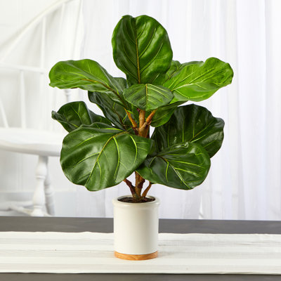 Figuier à feuilles artificielle en pot