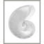 Silver Leafed Shell 3' Framed Graphic Art Print on Glass
