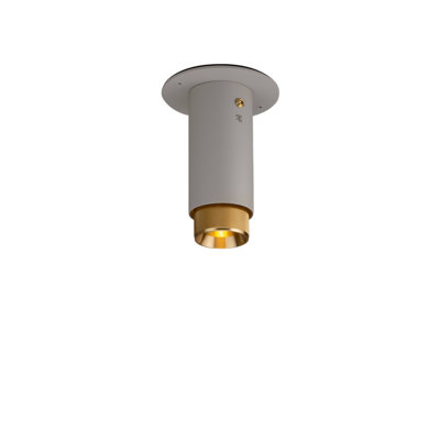 1 - Light Flush Mount