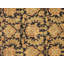 Xaiver Oriental Area Rug