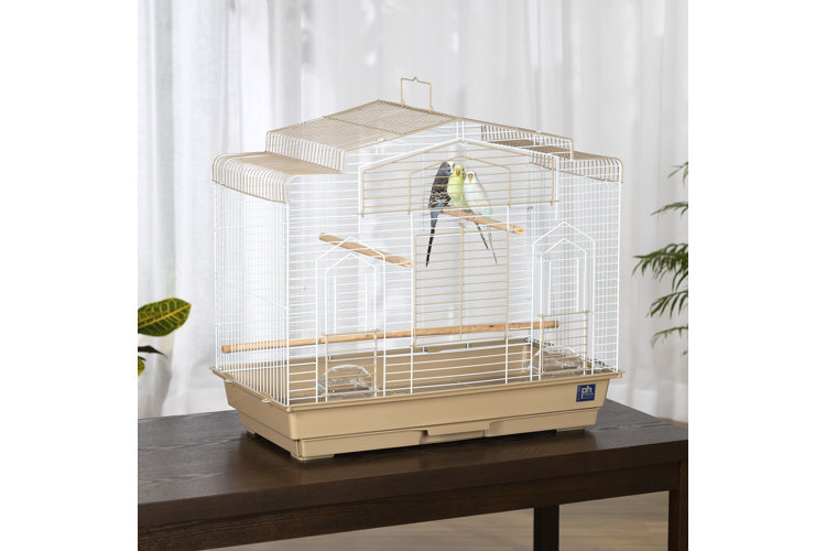 Bird Cage Buying Guide: How to Choose the Best Option