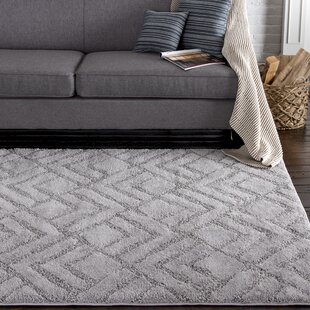 https://assets.wfcdn.com/im/25713865/resize-h310-w310%5Ecompr-r85/1017/101772561/Hibbing+Gray+Rug.jpg