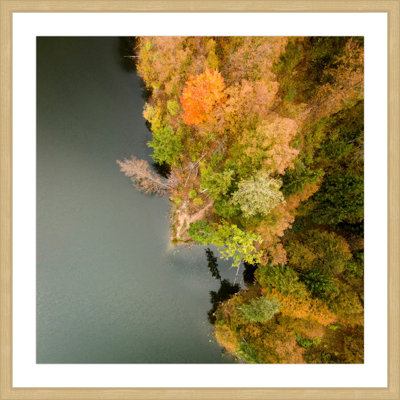Single Picture Frame Print