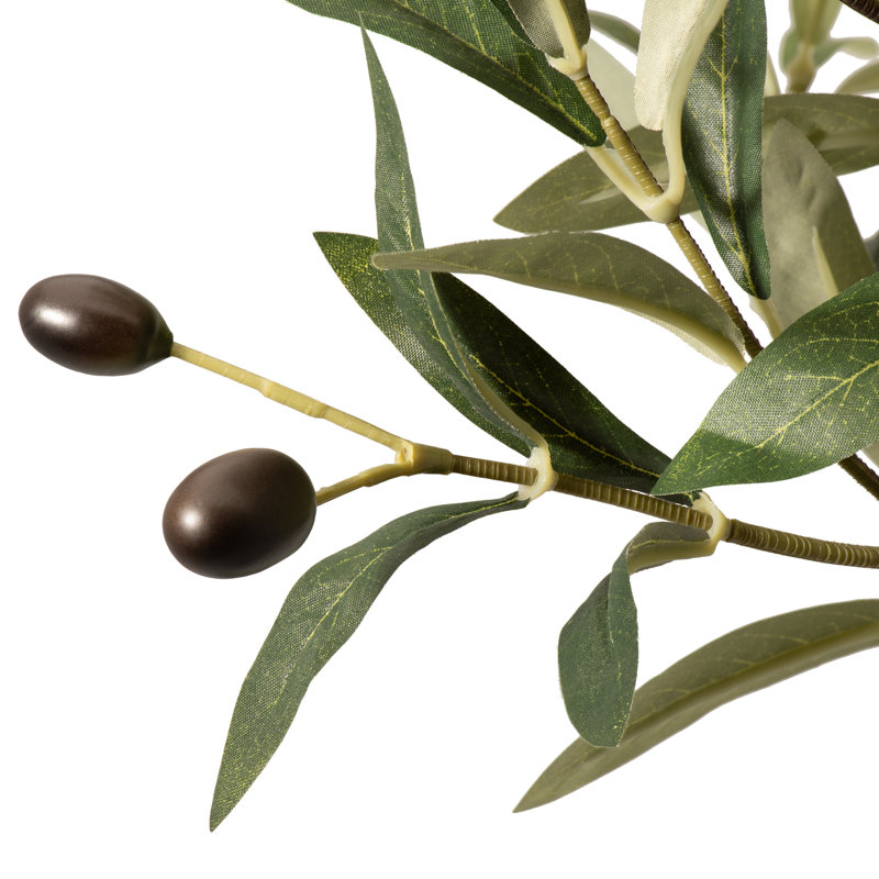 Arbre à olives en pot 28 po avec pot de ciment Avena Avena, H 28 po x l 16 po x P 16 po