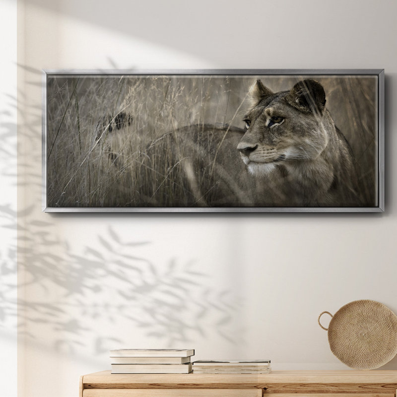 Tall Grass Alpha - toile avec cadre, H 20 po x l 50 po