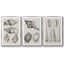 Charbon et coquilles de lin IV 3 pièces-97757592-97757593