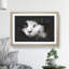 Portrait of a Cat Vol.10 - Picture Frame Graphic Art-62804120-62804124