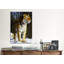 " Tiger "-23355162
