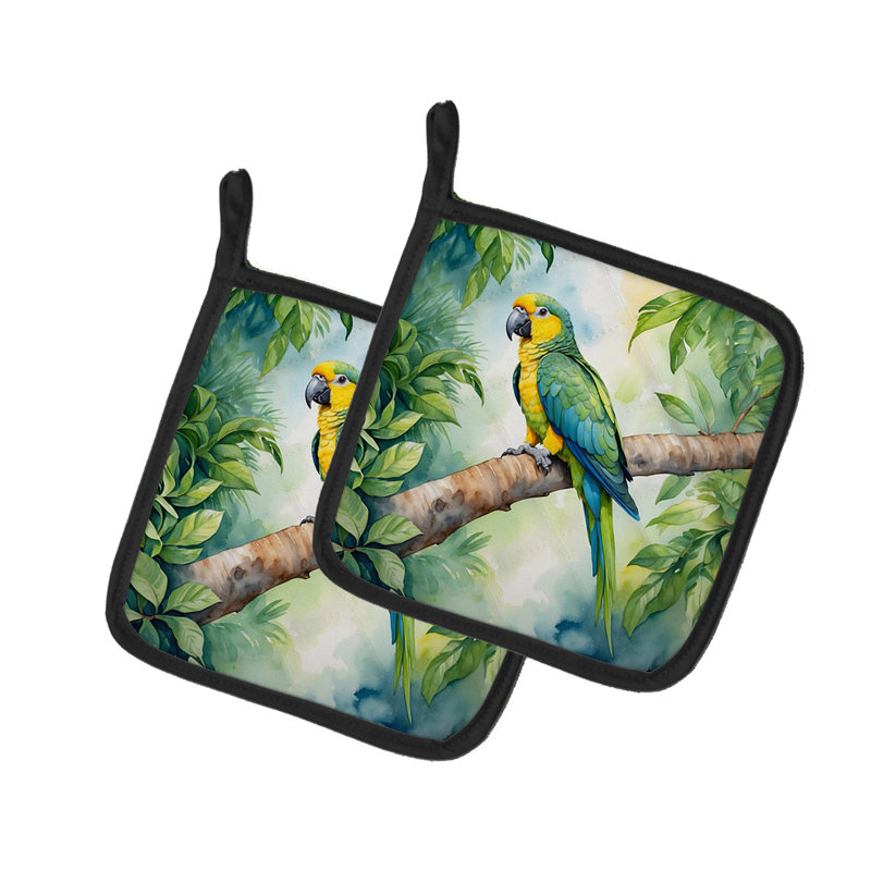 Paire de porte-casseroles Yellownaped Amazon