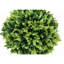 Plante artificielle