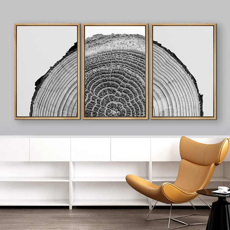 Natural Framed Black and White Tree Rings Canvas Art Set