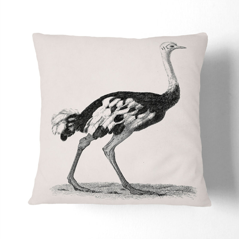 Square Throw Cushion, 55cm H x 55cm W x 20cm D