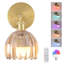 Armed Sconce
