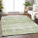 Premium Machine Washable Gerardo Aloe Rug