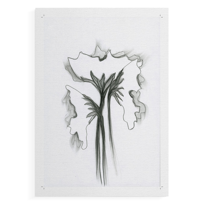 Coquelicot balayé par le vent - impression sur toile seulement - non encadrée, H 18 po x l 12 po