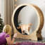 Roue d'exercice moderne 43,3 po
