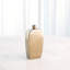 Bridwell Bottle-Bronze-Lg-1383912772