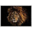 Animaux, safari africain, lion de la jungle sur toile-93629149-93629148