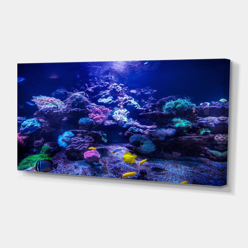 Aquarium récif, réservoir - reproduction de photo, Toile tendue, H 16 po x l 32 po x P 1 po