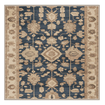 Machine Washable Overdyed Brown Area Rug