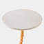 3 Legged Twig Marble End Table