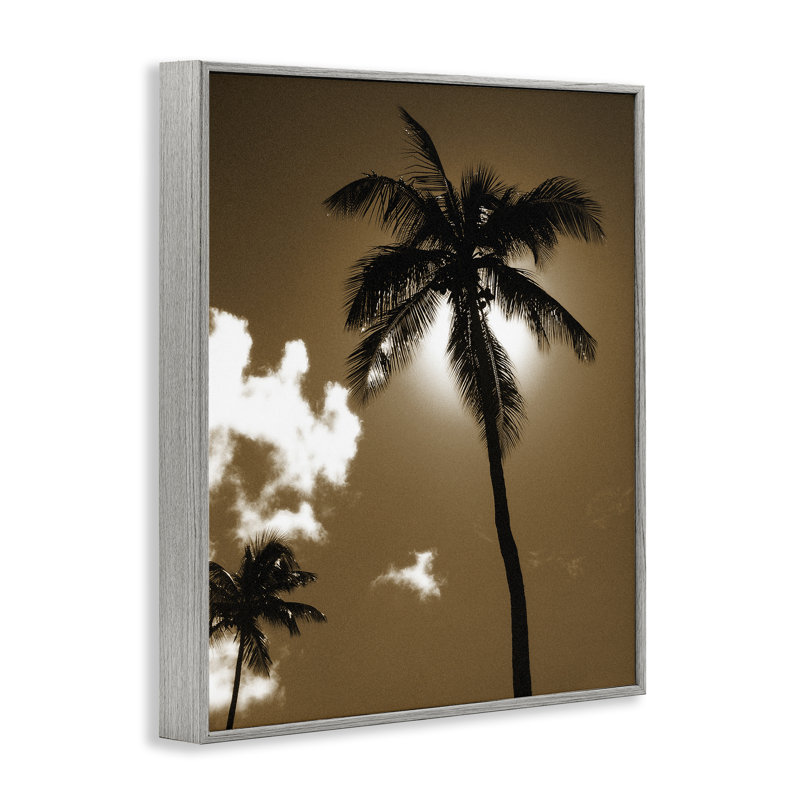 «Sunlight Through Palms», art de la giclée encadrée par Noah Bay, Estampe numérique Farmhouse, H 14 po x l 11 po