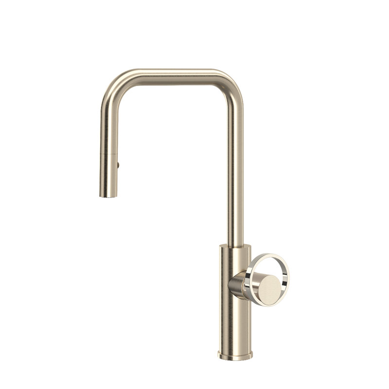 Eclissi™ Pull-Down Single Handle Kitchen Faucet With Accessories, Satin Nickel/Polished Nickel
