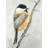 Small coal tit Bird Bedroom Canvas | Home Decor Art Print-120128173
