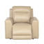 Fauteuil inclinable Aranveer